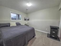 12 Derlago Drive, Brandon, MB R7B4J5 Photo 29