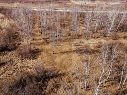 0 48 N Road, Richer, MB R5J0C4 Photo 9