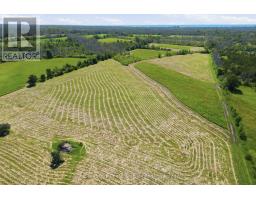 2650 County Road 13, Prince Edward County, ON K0K2T0 Photo 10