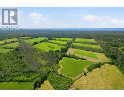 2650 County Road 13, Prince Edward County, ON K0K2T0 Photo 12