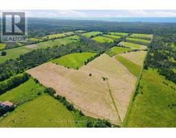 2650 County Road 13, Prince Edward County, ON K0K2T0 Photo 9