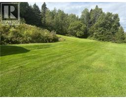4171 130 Route, Aroostook Junction, NB E7H1B2 Photo 37