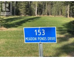 153 Meadow Ponds Drive, Rural Clearwater County, AB T4T1A7 Photo 7