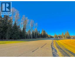 153 Meadow Ponds Drive, Rural Clearwater County, AB T4T1A7 Photo 8