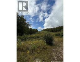 Camp & Lot Brittain Road, Lower Greenwich, NB E5K4K3 Photo 17