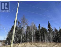 Lot 16 - Lower River Road, Grantville, NS B0E1J0 Photo 14
