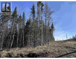 Lot 16 - Lower River Road, Grantville, NS B0E1J0 Photo 13