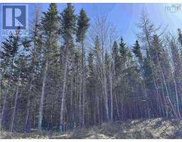 Lot 16 - Lower River Road, Grantville, NS B0E1J0 Photo 12