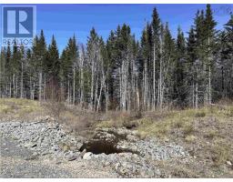 Lot 16 - Lower River Road, Grantville, NS B0E1J0 Photo 15