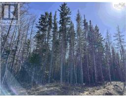 Lot 16 - Lower River Road, Grantville, NS B0E1J0 Photo 9