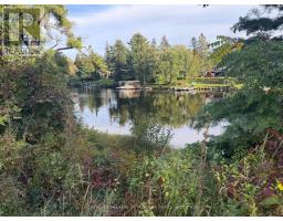 3 Wellington Street, Bracebridge, ON P1L1E8 Photo 30