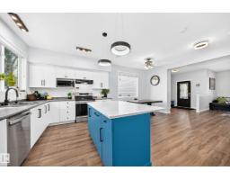 Recreation room - 1115 80 St Sw, Edmonton, AB T6X1E6 Photo 9