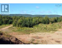 14692 Hwy#19, Strathlorne, Inverness, NS B0E1N0 Photo 28