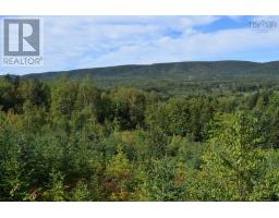 14692 Hwy#19, Strathlorne, Inverness, NS B0E1N0 Photo 38