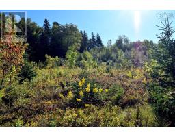 14692 Hwy#19, Strathlorne, Inverness, NS B0E1N0 Photo 40
