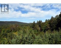 14692 Hwy#19, Strathlorne, Inverness, NS B0E1N0 Photo 39