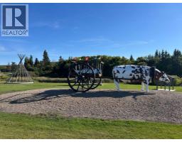 302 Main Street, Paradise Hill, SK S0M2G0 Photo 20
