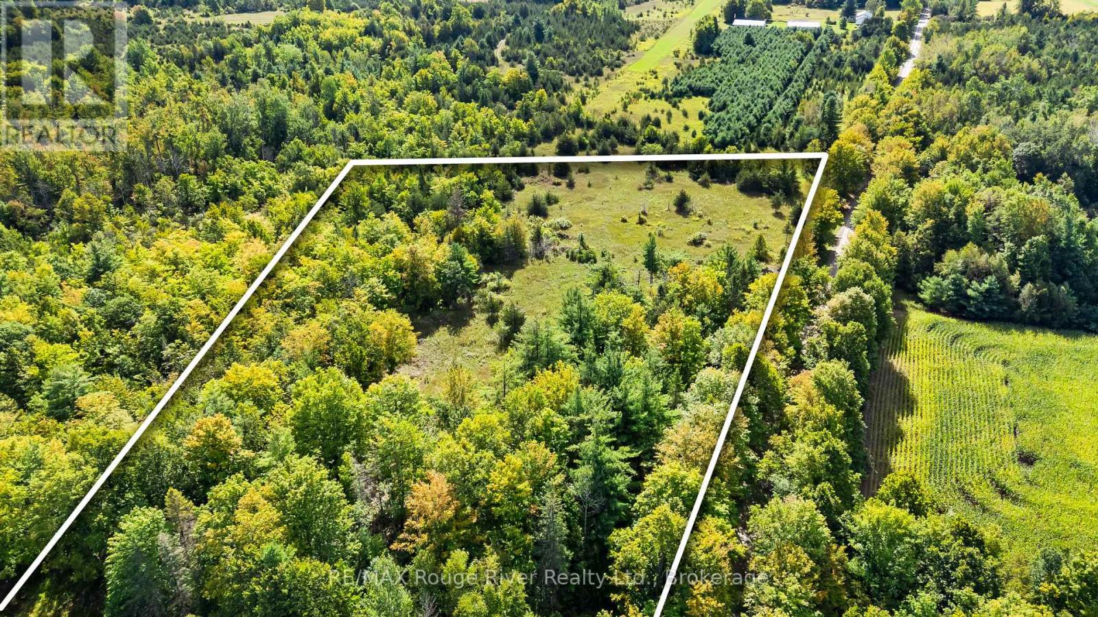 1321 Crowe River Road North, Trent Hills, Ontario, K0L1L0, Trent Hills, Ontario — photo 4 of 5