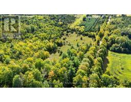 1321 Crowe River Road N, Trent Hills, ON K0L1L0 Photo 10