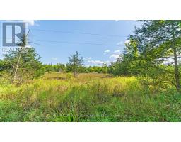 1321 Crowe River Road N, Trent Hills, ON K0L1L0 Photo 11