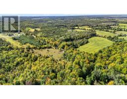 1321 Crowe River Road N, Trent Hills, ON K0L1L0 Photo 12