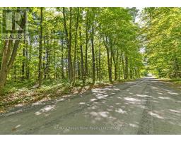 1321 Crowe River Road N, Trent Hills, ON K0L1L0 Photo 13