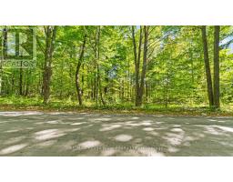 1321 Crowe River Road N, Trent Hills, ON K0L1L0 Photo 6