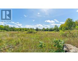 1321 Crowe River Road N, Trent Hills, ON K0L1L0 Photo 8