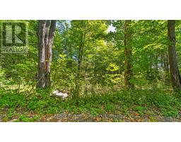 1321 Crowe River Road N, Trent Hills, ON K0L1L0 Photo 9