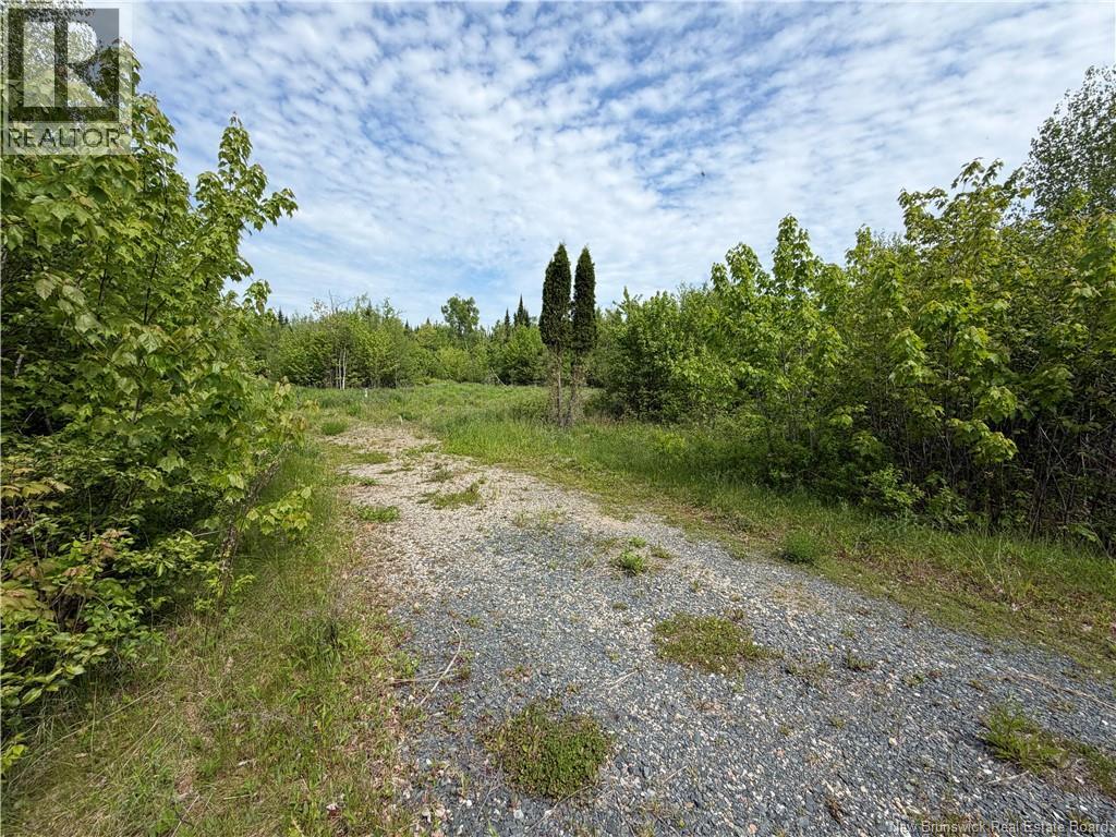 225 South Black River Road
