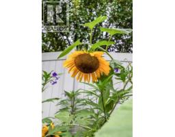 382 Belanca Crescent Sw, Medicine Hat, AB T1A7A1 Photo 46