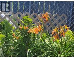 382 Belanca Crescent Sw, Medicine Hat, AB T1A7A1 Photo 50