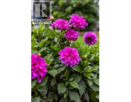 382 Belanca Crescent Sw, Medicine Hat, AB T1A7A1 Photo 41