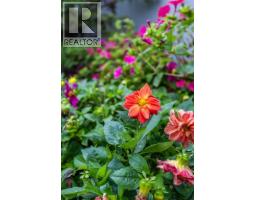 382 Belanca Crescent Sw, Medicine Hat, AB T1A7A1 Photo 42