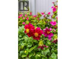 382 Belanca Crescent Sw, Medicine Hat, AB T1A7A1 Photo 44