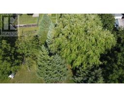 9 Benalto Road, Toronto, ON M6A2R7 Photo 45