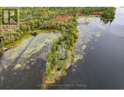 175 Donaldson Lane, Centre Hastings, ON K0K2K0 Photo 10