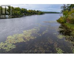 175 Donaldson Lane, Centre Hastings, ON K0K2K0 Photo 8