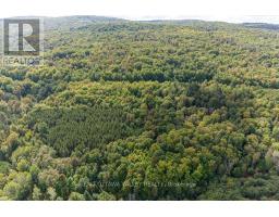 00 Opeongo Road, Bonnechere Valley, ON K0J1T0 Photo 11