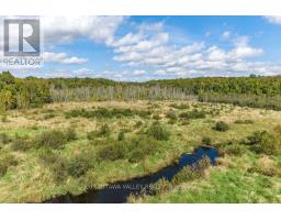 00 Opeongo Road, Bonnechere Valley, ON K0J1T0 Photo 19