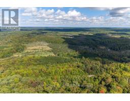 00 Opeongo Road, Bonnechere Valley, ON K0J1T0 Photo 26
