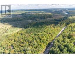 00 Opeongo Road, Bonnechere Valley, ON K0J1T0 Photo 28