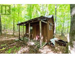 00 Opeongo Road, Bonnechere Valley, ON K0J1T0 Photo 31