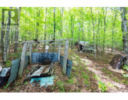 00 Opeongo Road, Bonnechere Valley, ON K0J1T0 Photo 33