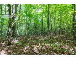 00 Opeongo Road, Bonnechere Valley, ON K0J1T0 Photo 34