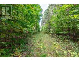 00 Opeongo Road, Bonnechere Valley, ON K0J1T0 Photo 35