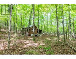 00 Opeongo Road, Bonnechere Valley, ON K0J1T0 Photo 36