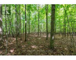 00 Opeongo Road, Bonnechere Valley, ON K0J1T0 Photo 37
