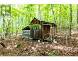 00 Opeongo Road, Bonnechere Valley, ON K0J1T0 Photo 38