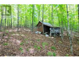00 Opeongo Road, Bonnechere Valley, ON K0J1T0 Photo 39